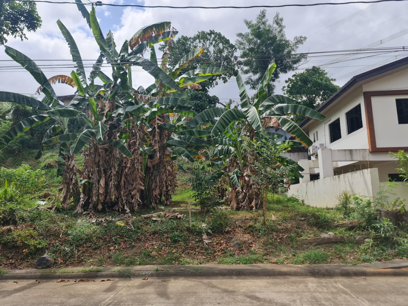 Mission Hills Sta Catalina lot for sale